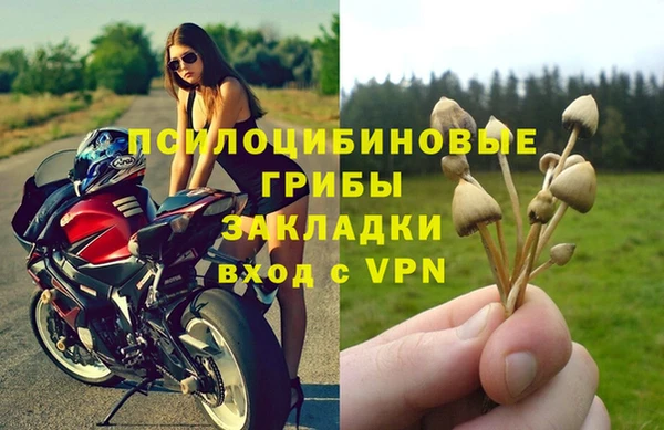 мяу мяу кристалл Медвежьегорск