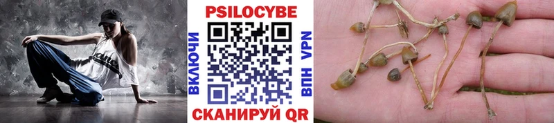 Псилоцибиновые грибы Psilocybe  цена наркотик  ОМГ ОМГ как зайти  Сольцы 